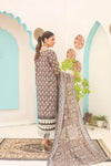DP-V1-09 Three-Piece Stitched Lawn Suit