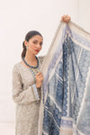 DP-V1-10 Three-Piece Stitched Lawn Suit