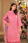 DTC-07* (Unstitched)