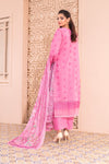 Aafreen - D7