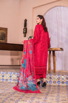 Aafreen - D10