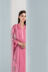 DNQH-V2-09 Premium Lawn Chikankari Suit