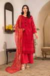 DTC-08* (Unstitched)