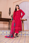 Aafreen - D10